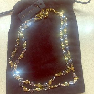 Ann Taylor Silver and Gold double strand necklace